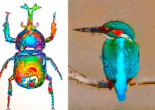 Load image into Gallery viewer, PM CAMP - Drawing and Painting Animals Ages 8-12