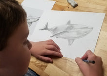 Load image into Gallery viewer, January Beginning Drawing (ages 6-10)