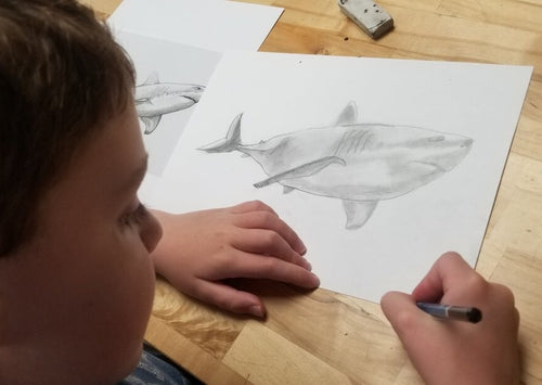 January Beginning Drawing (ages 6-10)