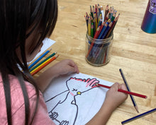 Load image into Gallery viewer, Drawing Animals (ages 7-10)